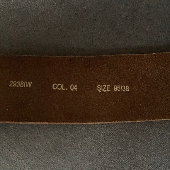 Diesel belt - Picture 4 of 4